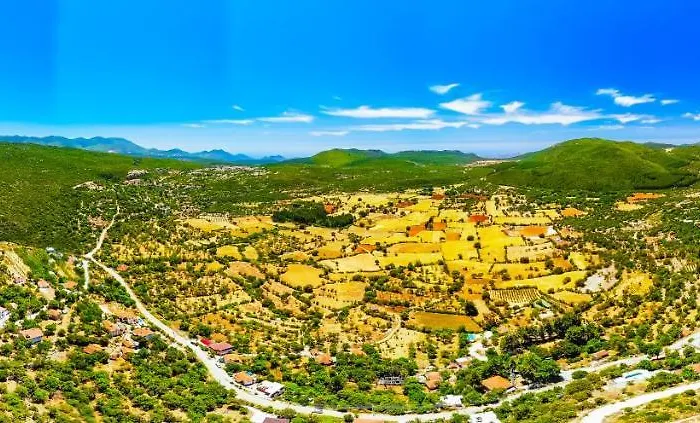 Luxury Meri With Pool And Jakuzi In Villa